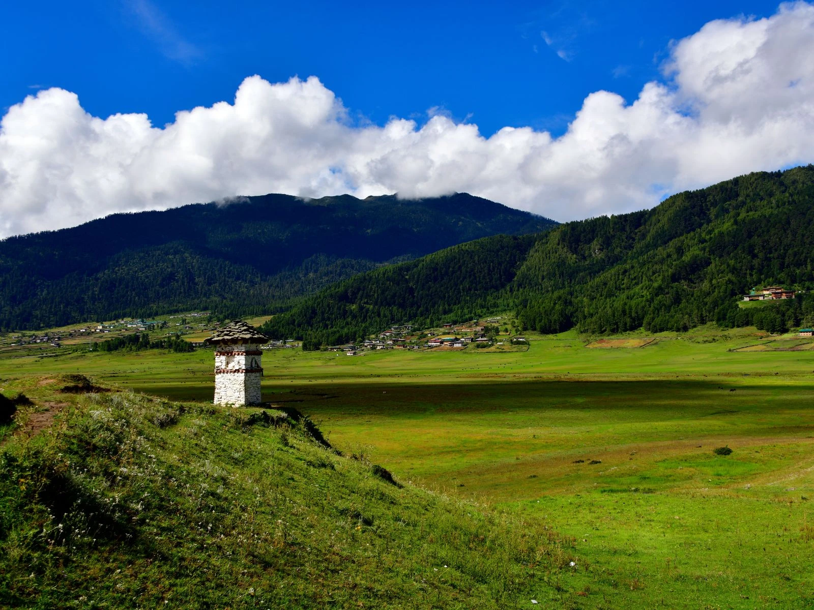 Phobjika Valley and the Royal Orchid Trek